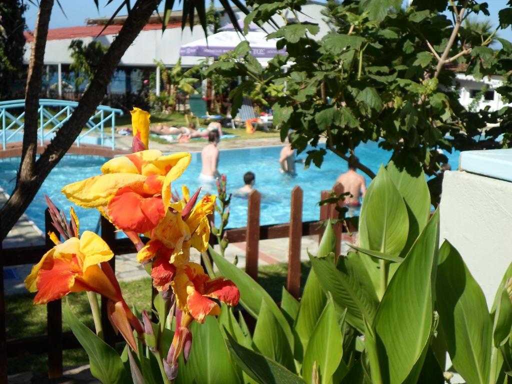 Anatoli Apartments Hersonissos  Luaran gambar